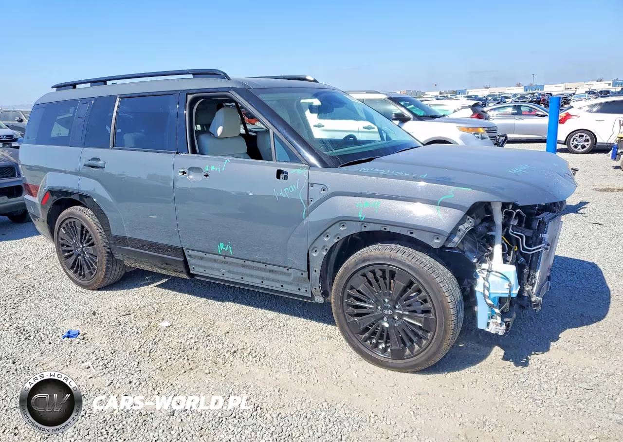 2025 Hyundai Santa Fe Calligraphy VIN:5NMP5DG15SH040518 - 4