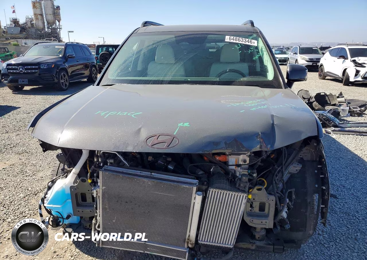 2025 Hyundai Santa Fe Calligraphy VIN:5NMP5DG15SH040518 - 5
