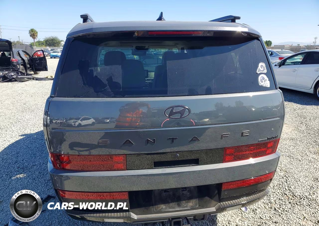 2025 Hyundai Santa Fe Calligraphy VIN:5NMP5DG15SH040518 - 6
