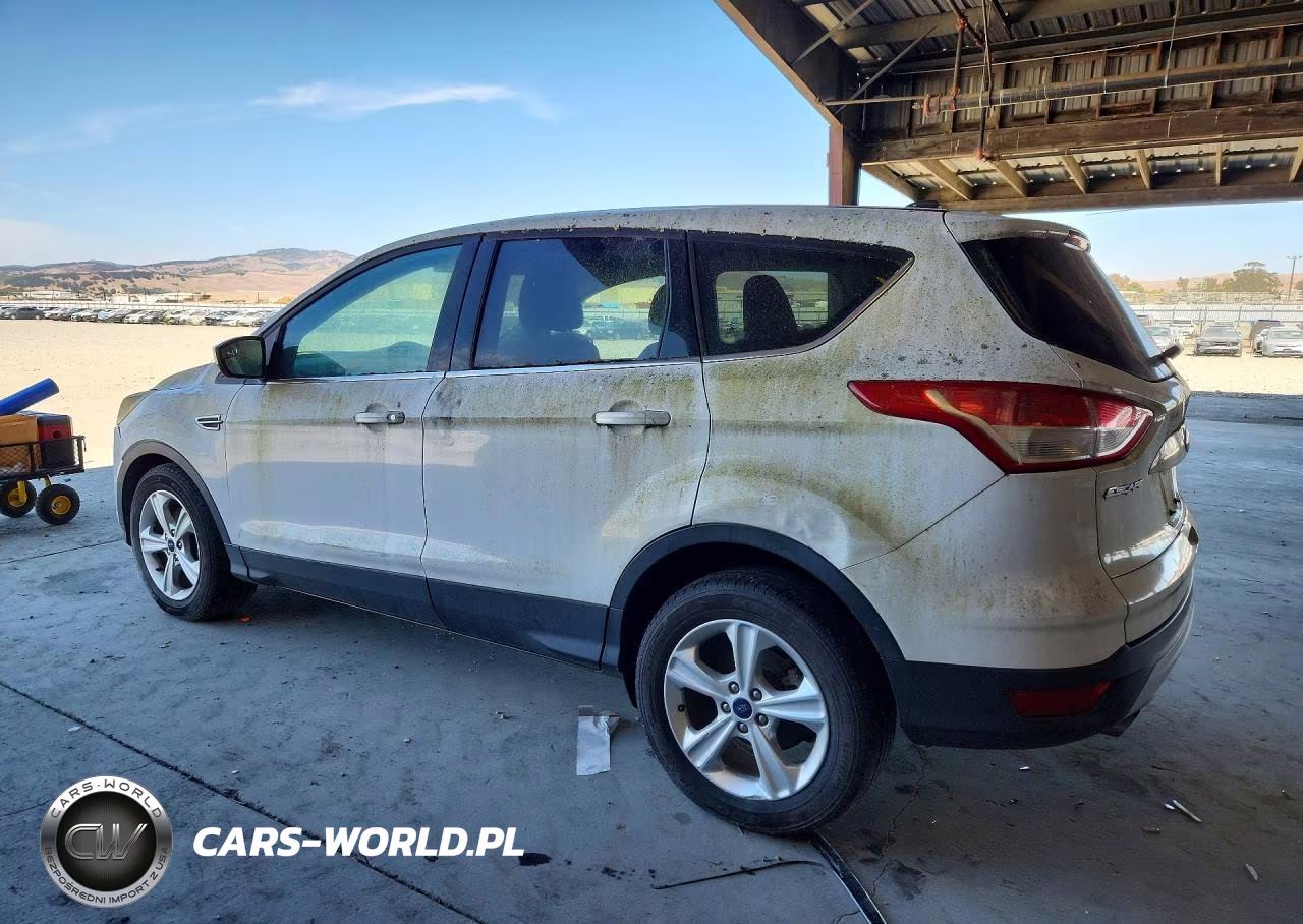 2015 Ford Escape VIN:1FMCU0GX9EUC38896 - 2
