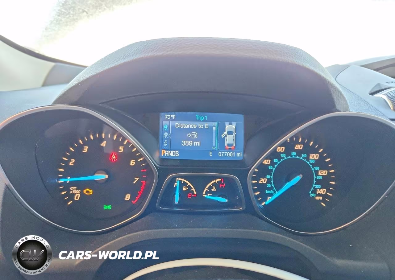 2015 Ford Escape VIN:1FMCU0GX9EUC38896 - 9