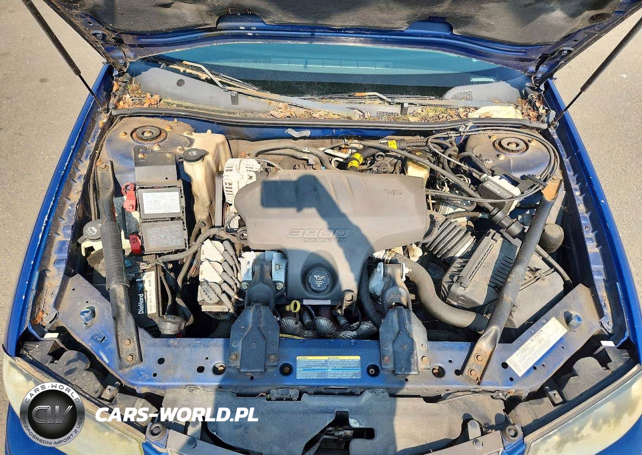 2004 Chevrolet Impala Ls VIN:2G1WH55K349401301 - 11