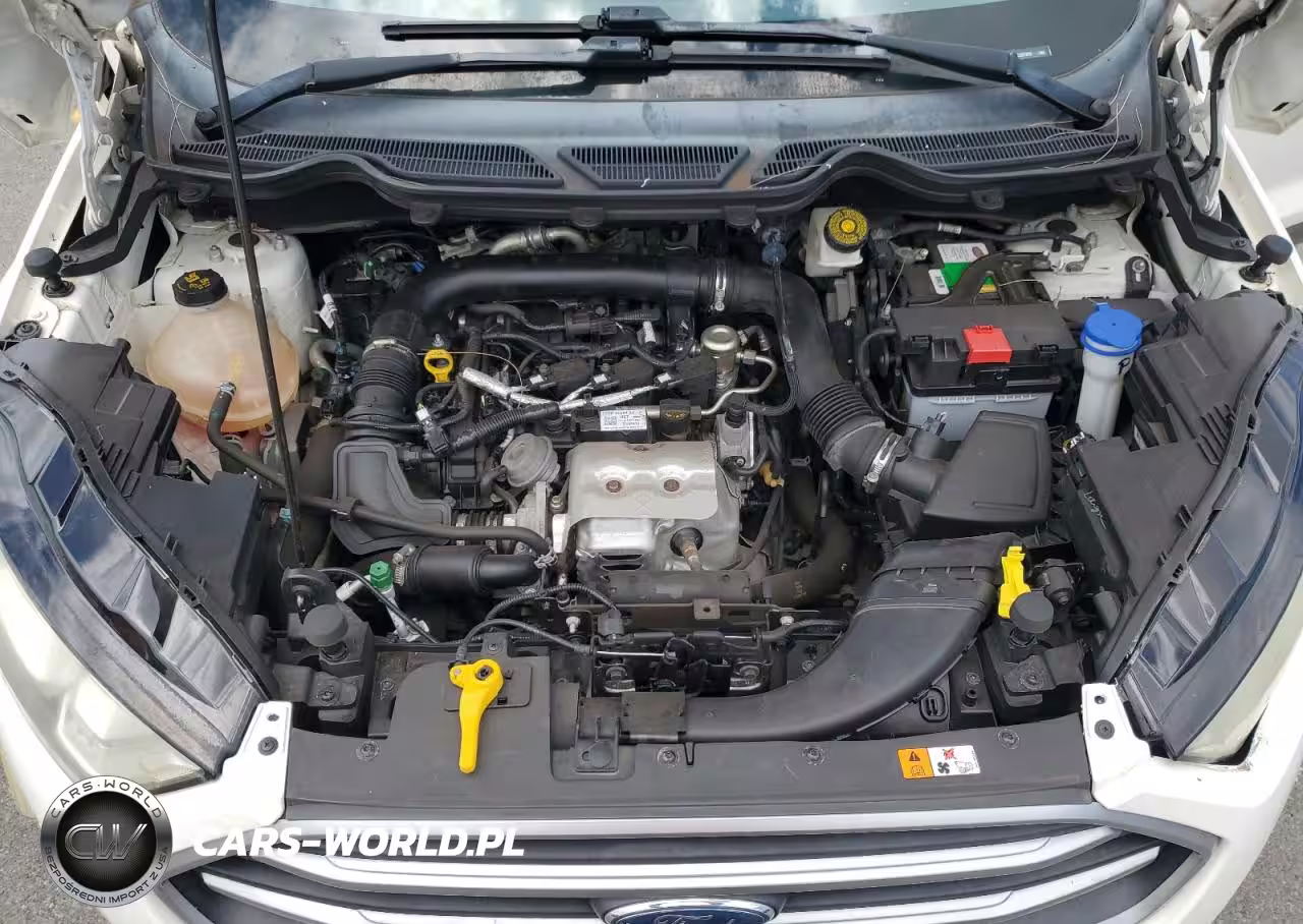 2018 Ford Ecosport Se VIN:MAJ3P1TE4JC227378 - 12