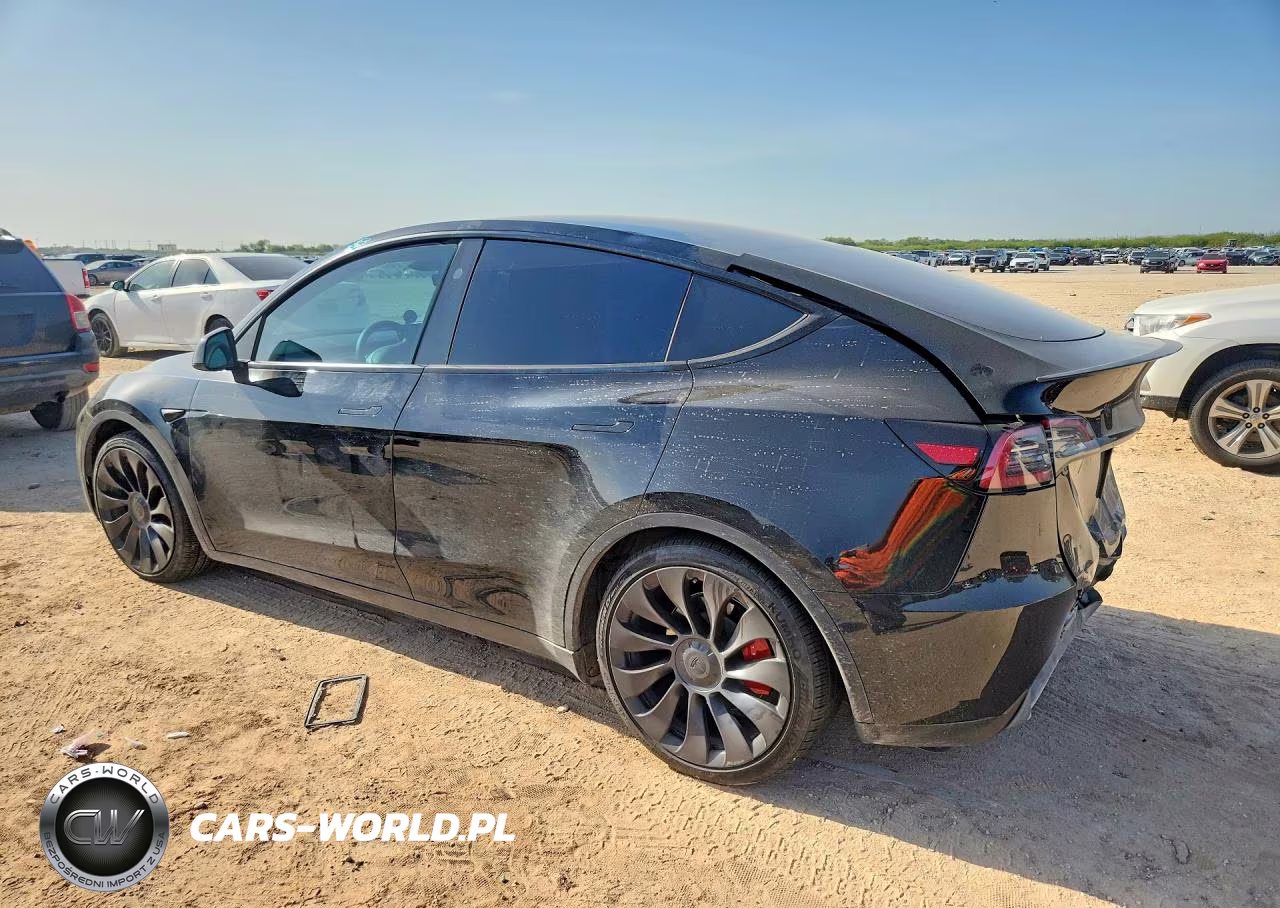 2023 Tesla Model Y VIN:7SAYGDEF2PF976878 - 3
