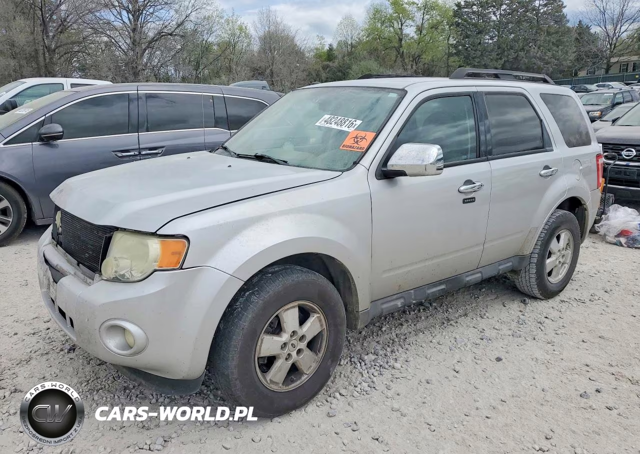 2010 Ford Escape Xlt