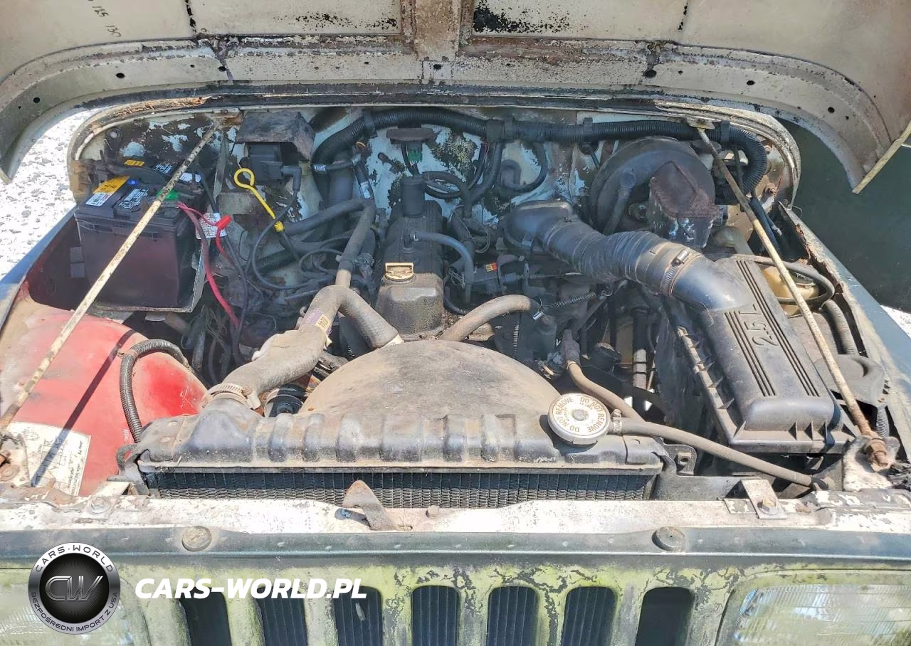 1990 Jep Wrangler VIN:2J4FY19E1LJ516085 - 11