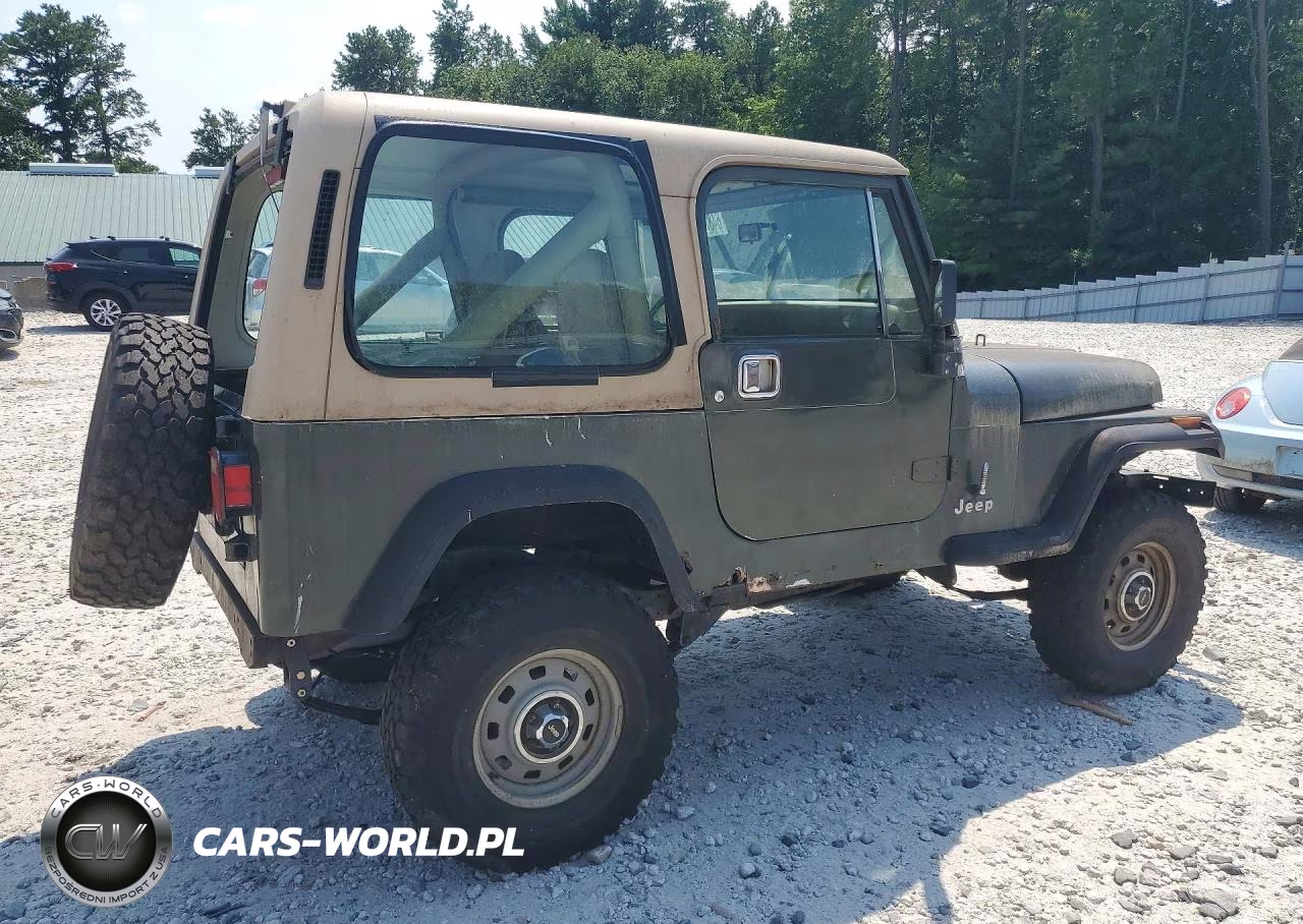 1990 Jep Wrangler VIN:2J4FY19E1LJ516085 - 3