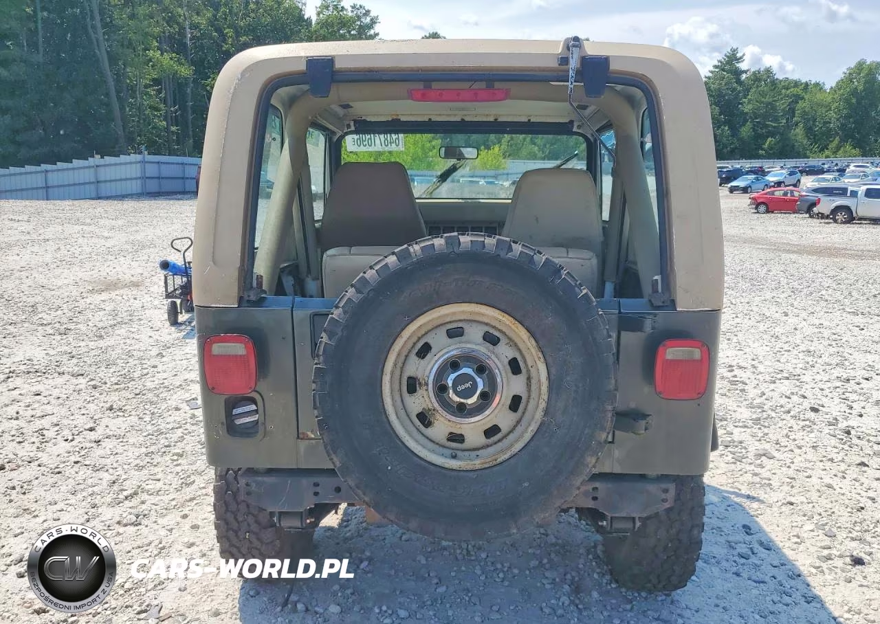 1990 Jep Wrangler VIN:2J4FY19E1LJ516085 - 6
