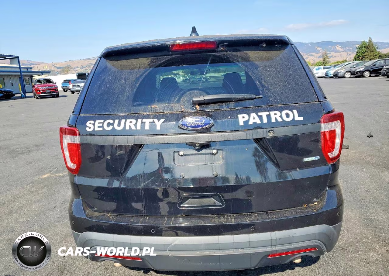 2016 Ford Explorer Police Interceptor VIN:1FM5K8AR3GGB36681 - 6