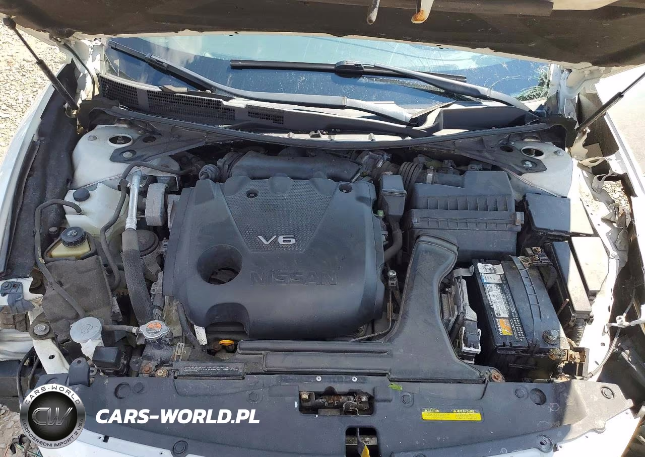 NISSAN MAXIMA VIN:1N4AA6AP5HC447844 - 11
