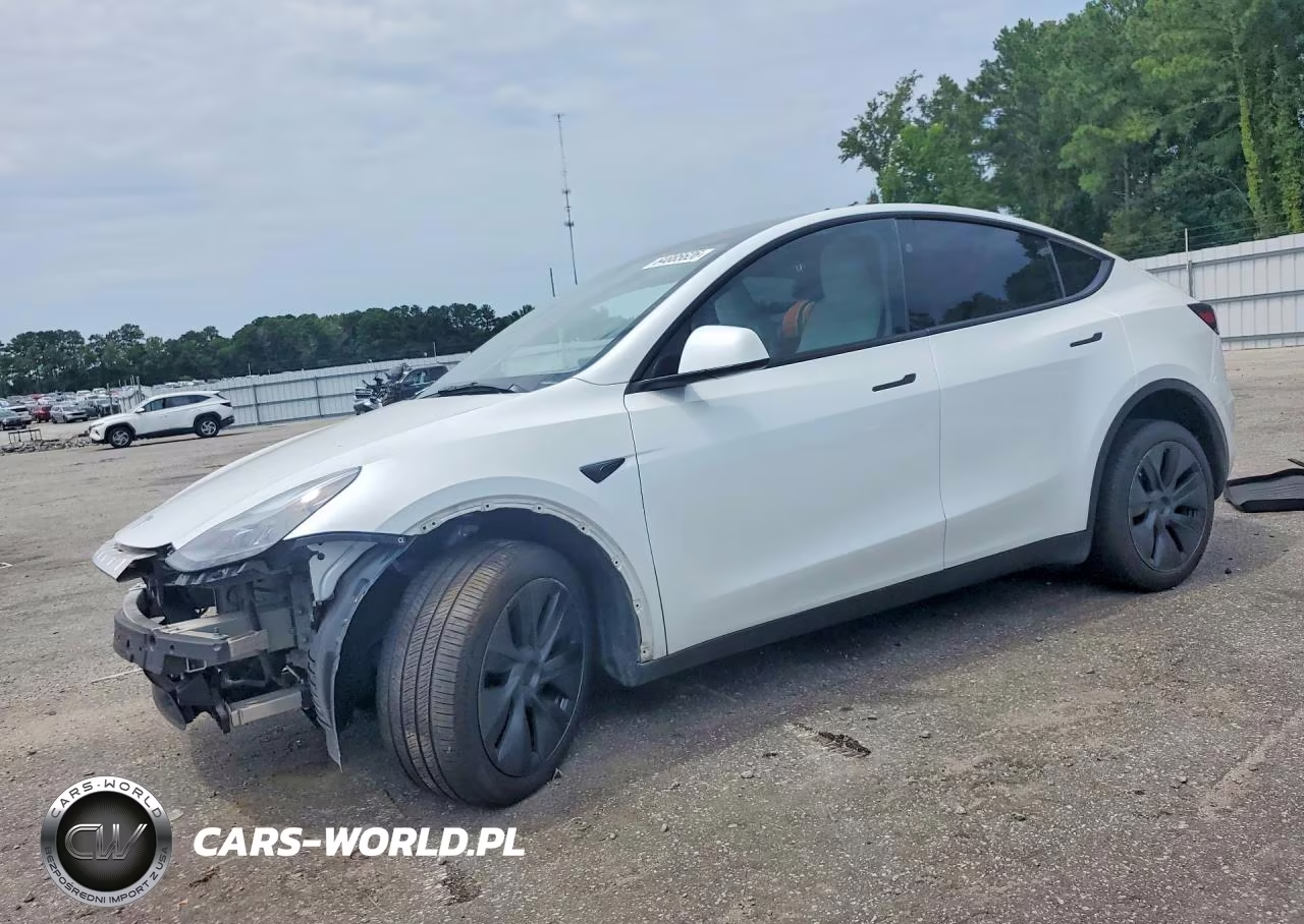 2025 Tesla Model Y VIN:7SAYGDEE9SA370183 - 1