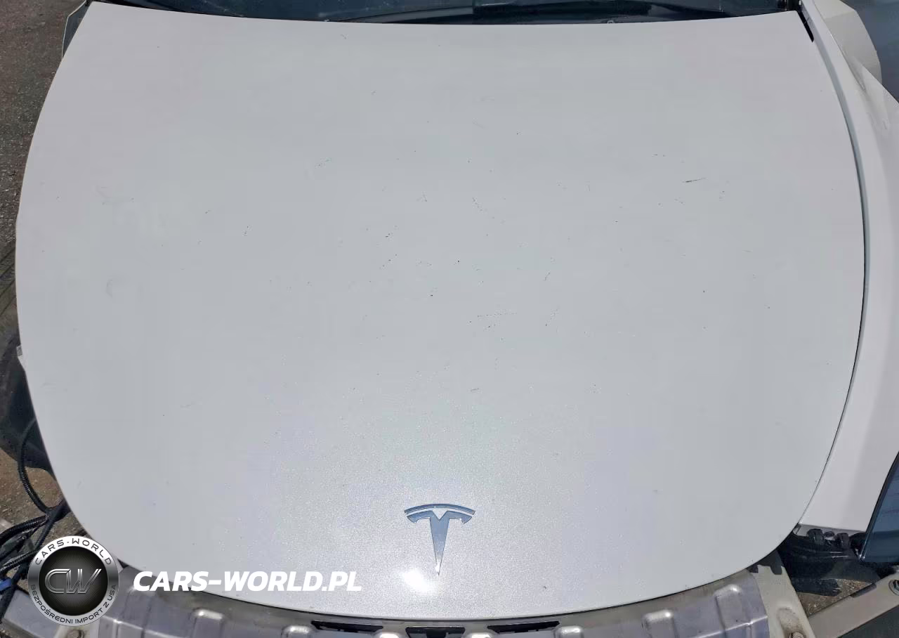 2025 Tesla Model Y VIN:7SAYGDEE9SA370183 - 12