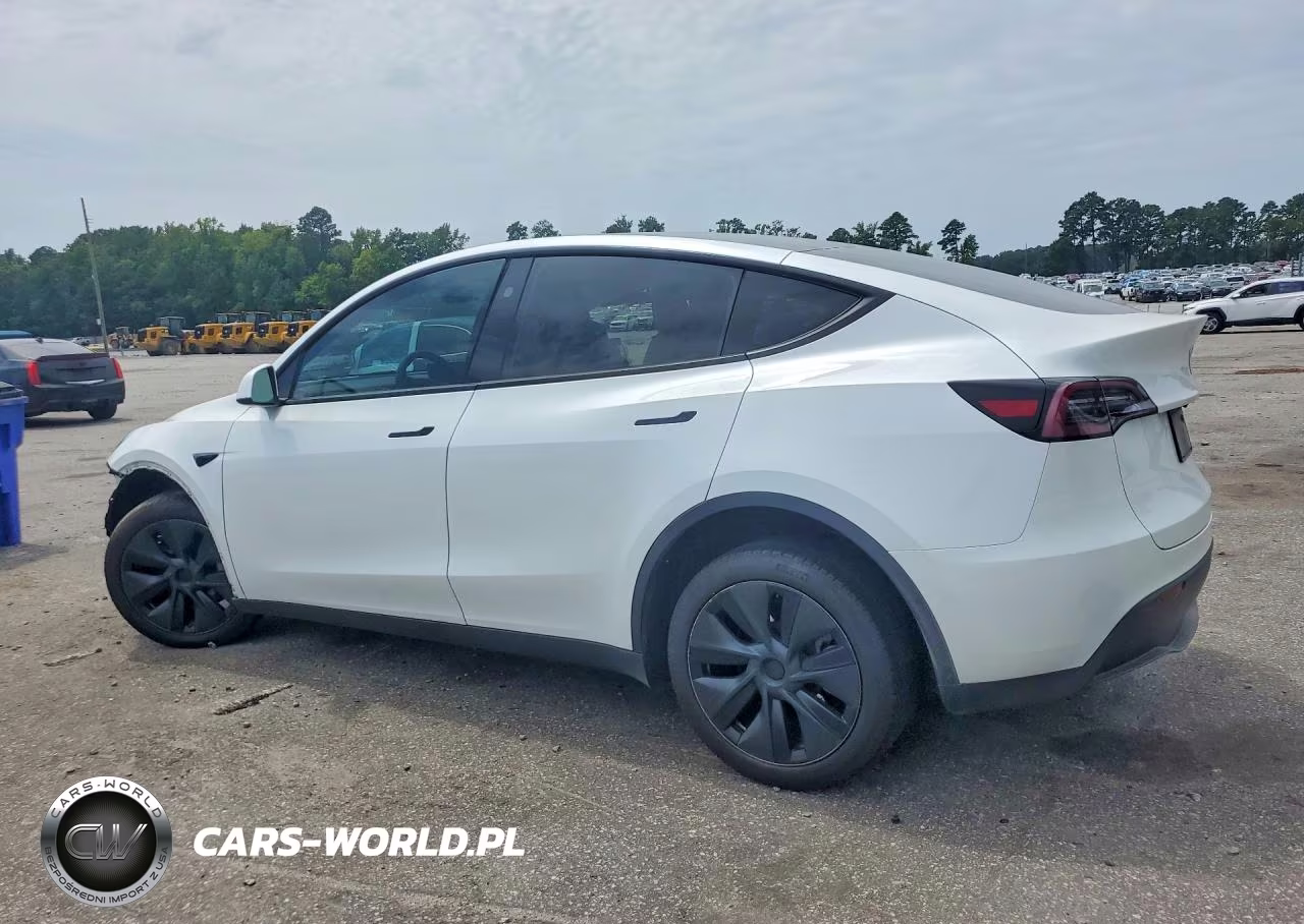 2025 Tesla Model Y VIN:7SAYGDEE9SA370183 - 2