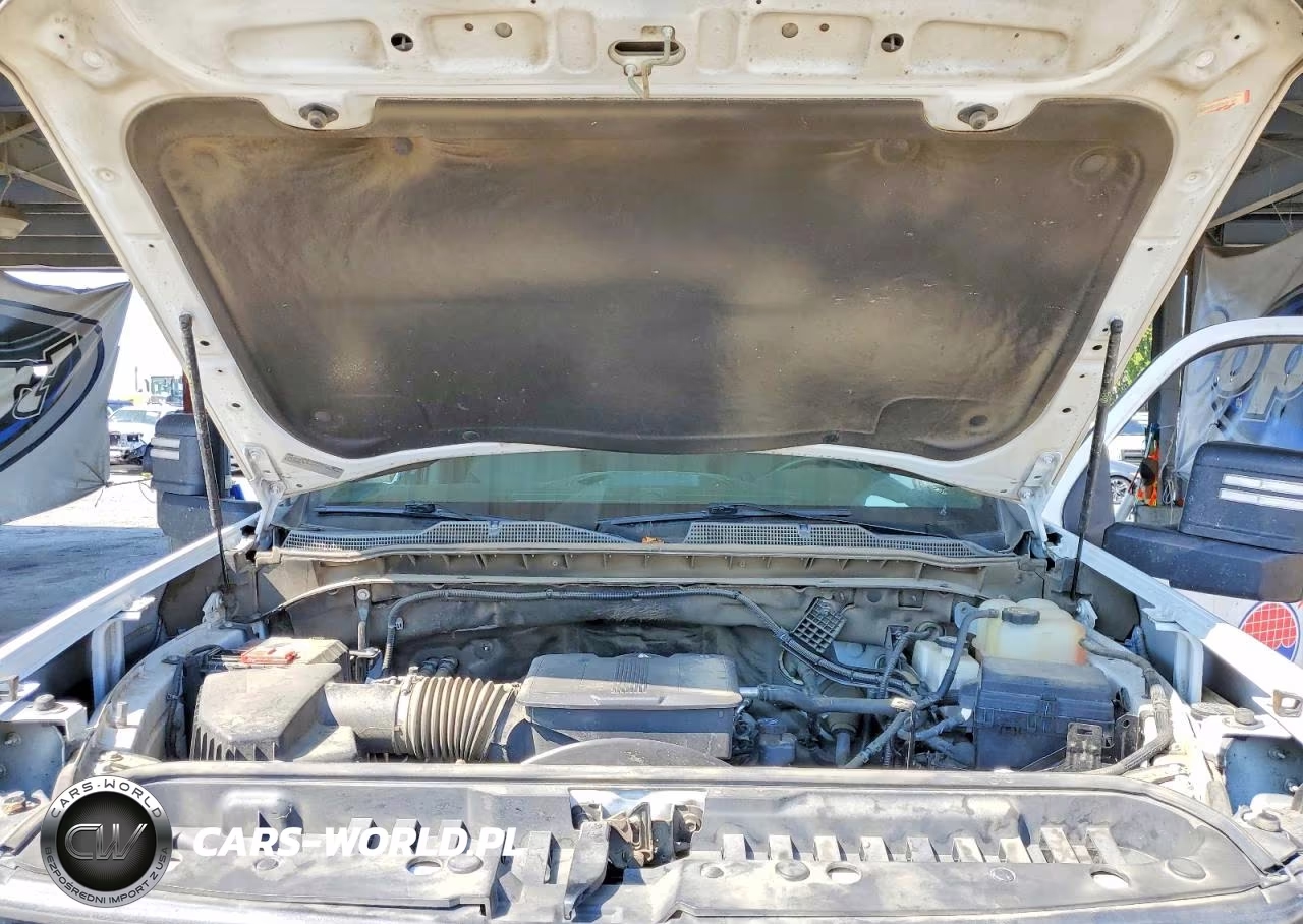 2022 Chevrolet Silverado C2500 Heavy Duty VIN:1GC0WLE79NF299823 - 11