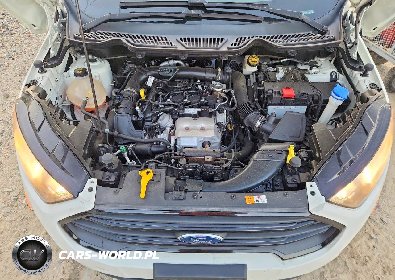 2021 Ford Ecosport S VIN:MAJ3S2FE0MC408062 - 11