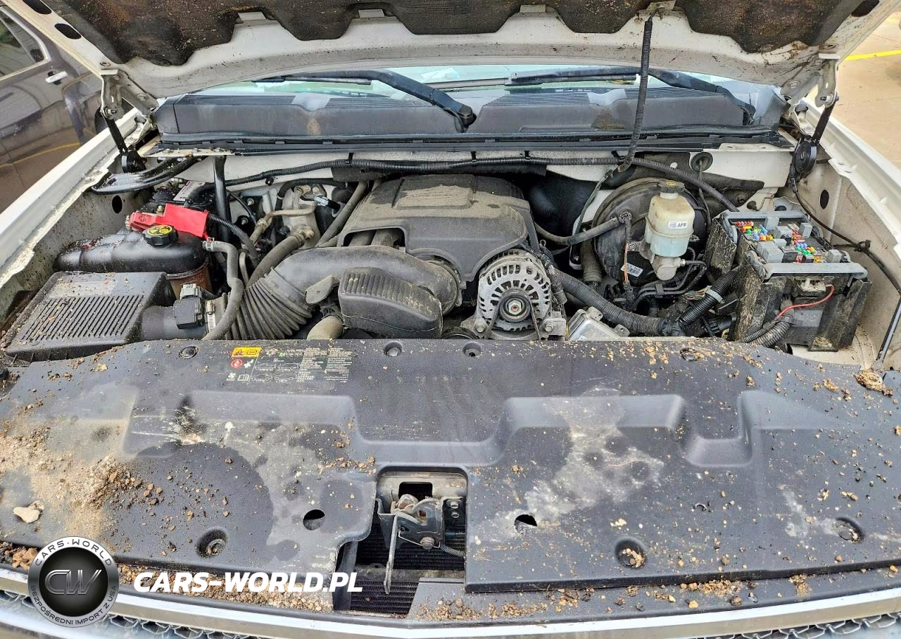 2013 Chevrolet Silverado C1500 Lt VIN:3GCPCSE08DG119894 - 11
