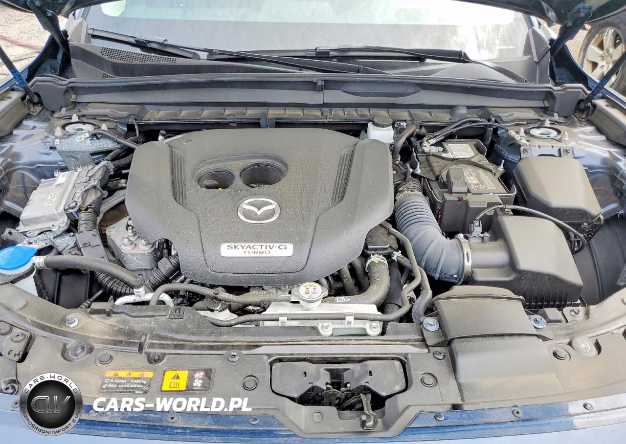 2025 Mazda Cx-50 Premium VIN:7MMVABDY9SN389550 - 12