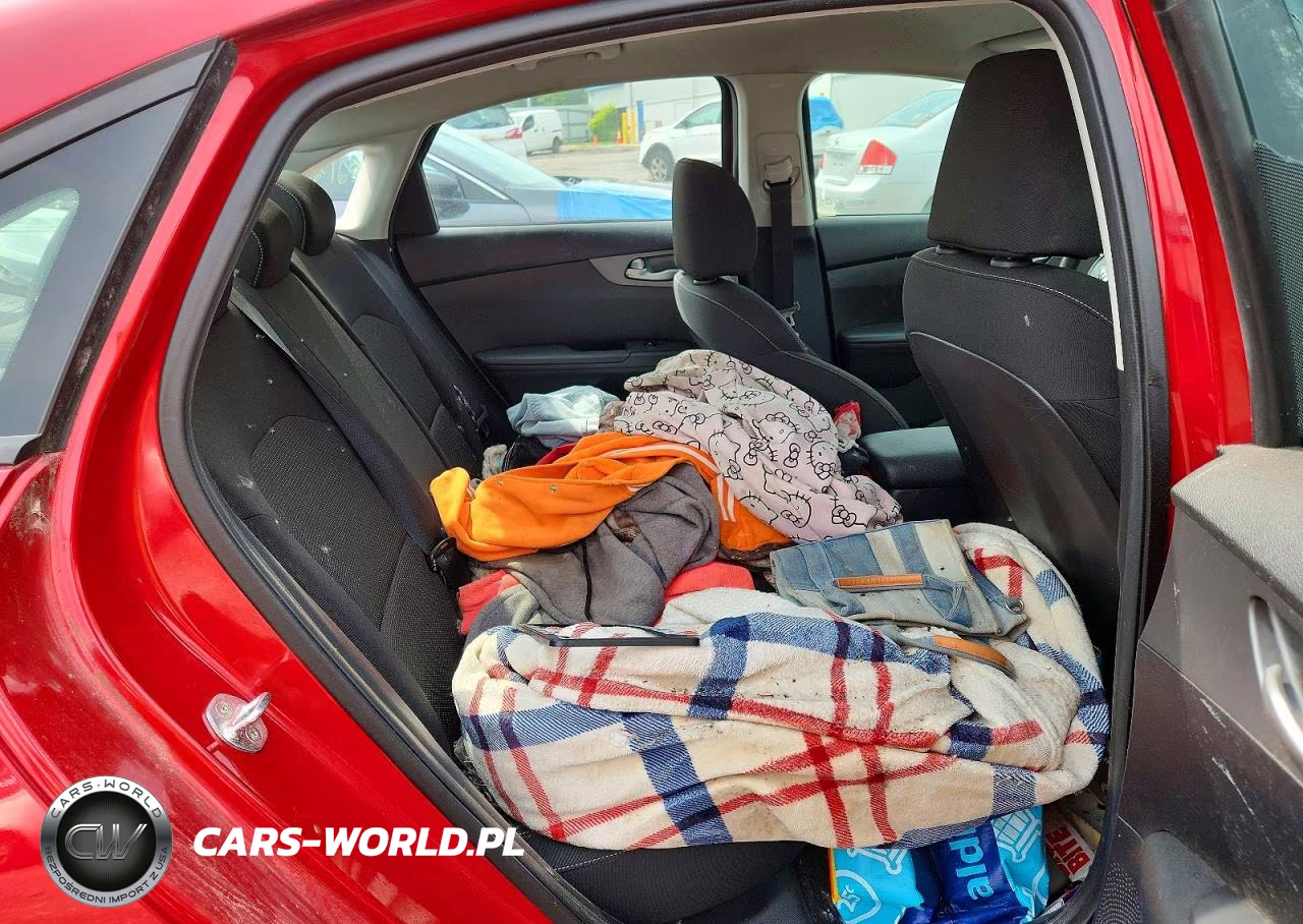 2019 Kia Forte Lxs VIN:3KPF24AD4KE098652 - 10