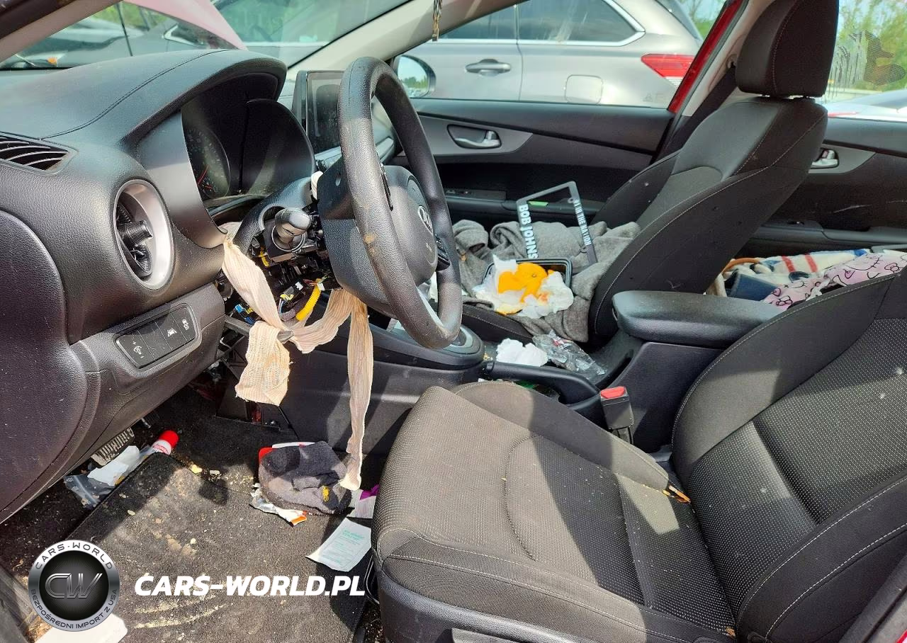 2019 Kia Forte Lxs VIN:3KPF24AD4KE098652 - 7