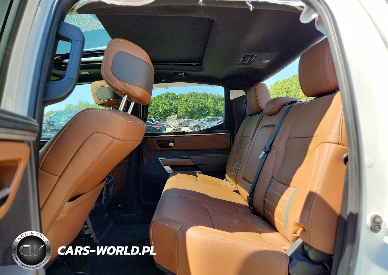 2023 Toyota Tundra 1794 Edition VIN:5TFMA5DBXPX093344 - 10