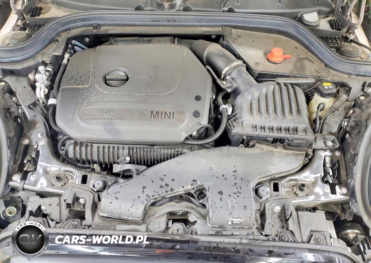 2022 Mini Cooper S VIN:WMW53DK09N2P89288 - 12