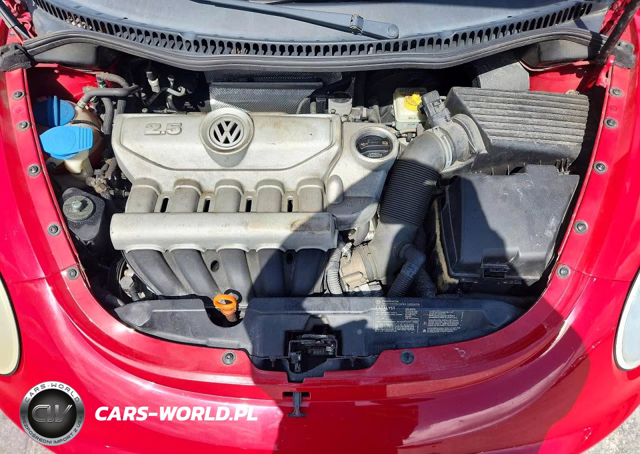 2008 Volkswagen New Beetle S VIN:3VWRW31C98M520221 - 11