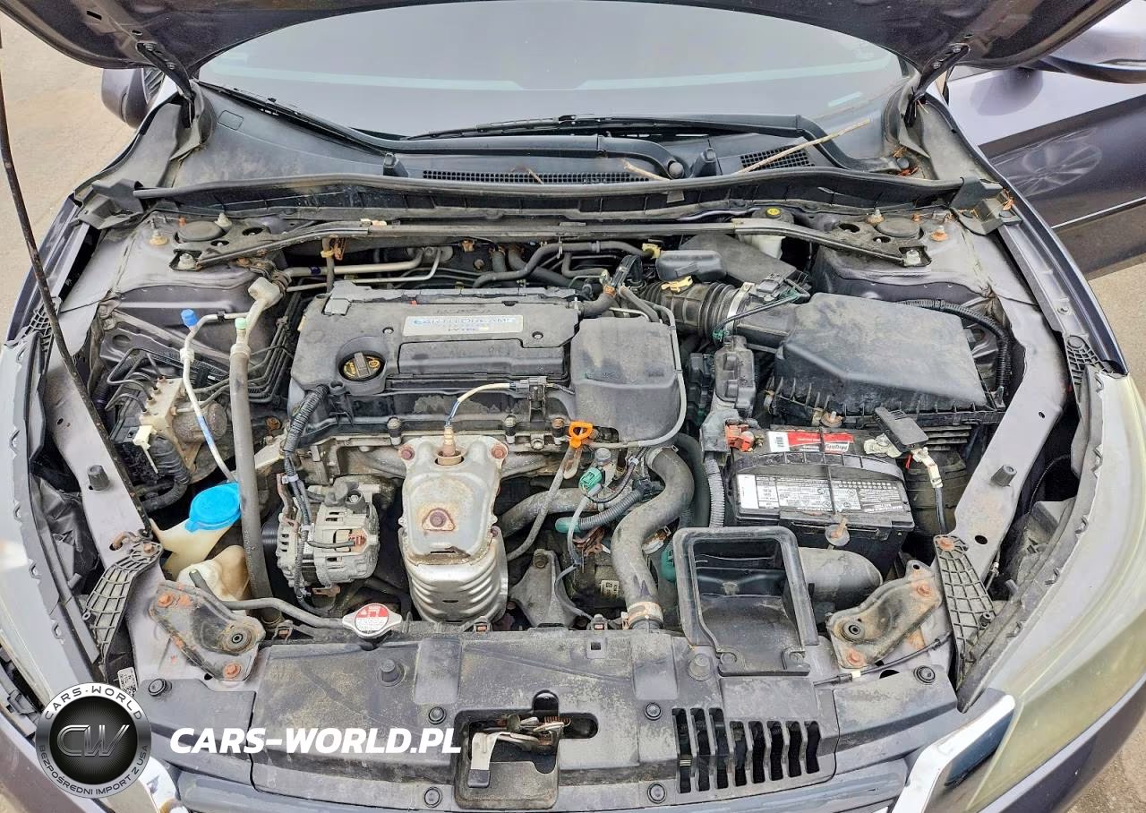 2014 Honda Accord Exl VIN:1HGCR2F80EA189344 - 11
