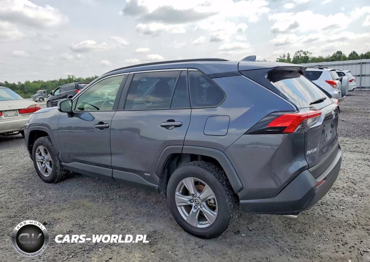 2025 Toyota Rav4 Le VIN:JTMMWRFV6SD334777 - 2