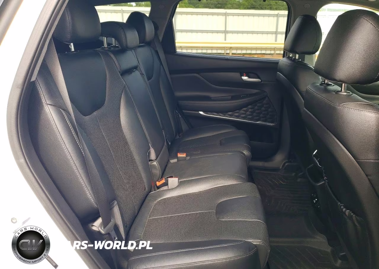 2019 Hyundai Santa Fe Ultimate 2.0T VIN:5NMS5CAA9KH101981 - 11