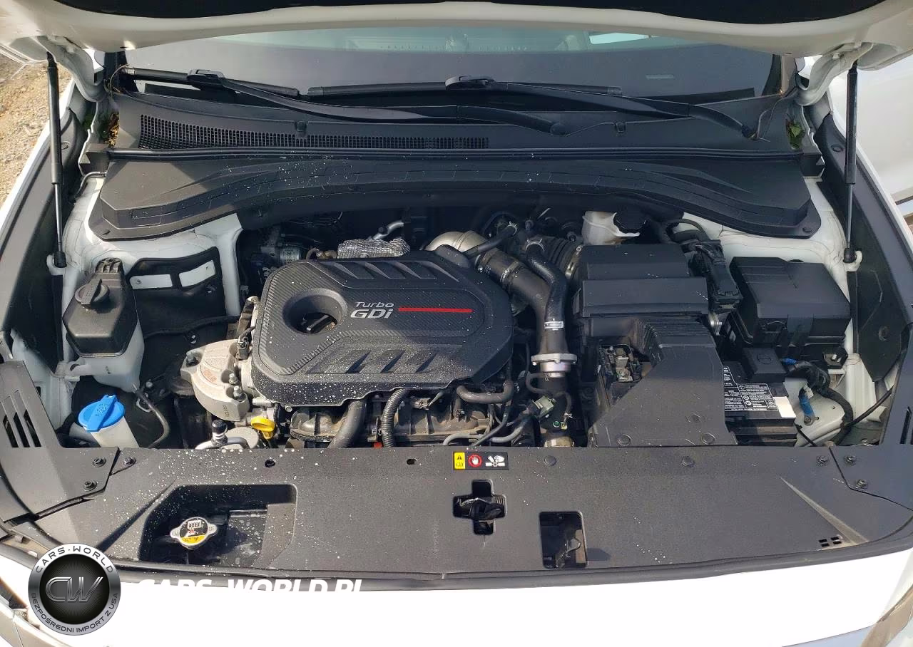 2019 Hyundai Santa Fe Ultimate 2.0T VIN:5NMS5CAA9KH101981 - 12