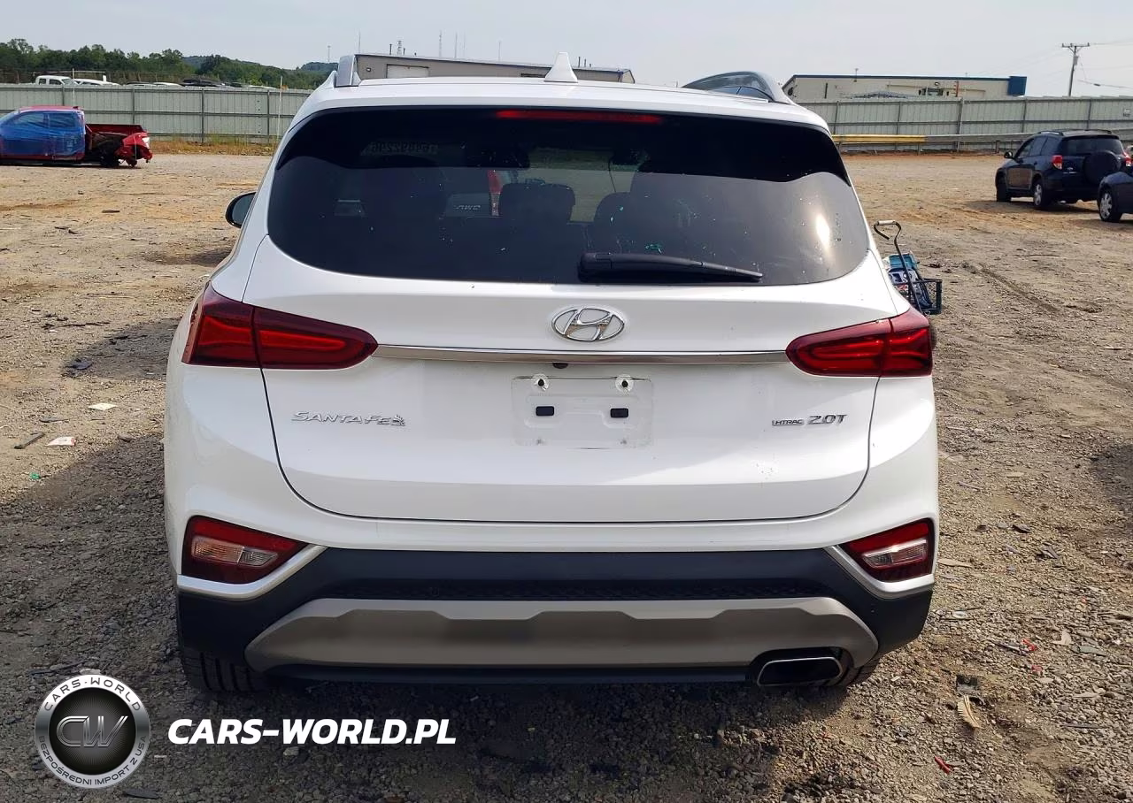 2019 Hyundai Santa Fe Ultimate 2.0T VIN:5NMS5CAA9KH101981 - 6