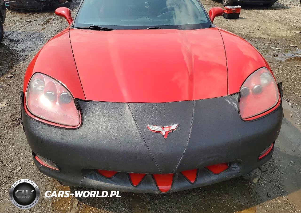 2005 Chevrolet Corvette VIN:1G1YY22U655129564 - 11