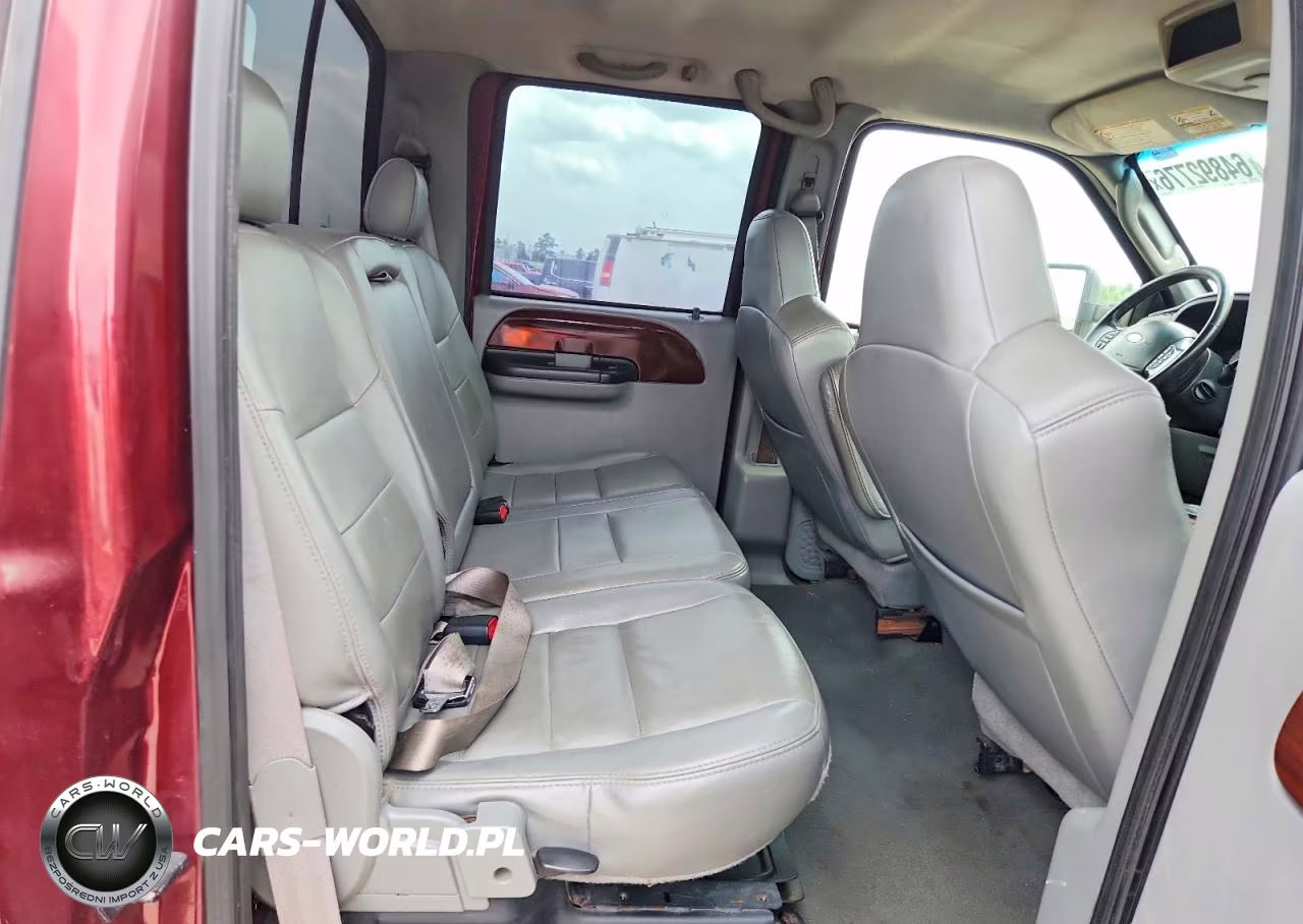 2006 Ford F250 Super Duty VIN:1FTSW21P66ED23124 - 10