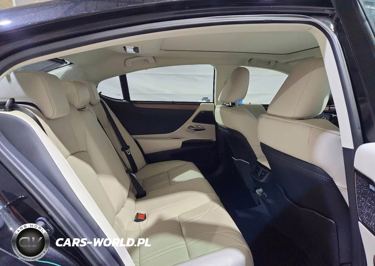 2025 Lexus Es 350 Ultra Luxury VIN:58AFZ1B14SU209611 - 10