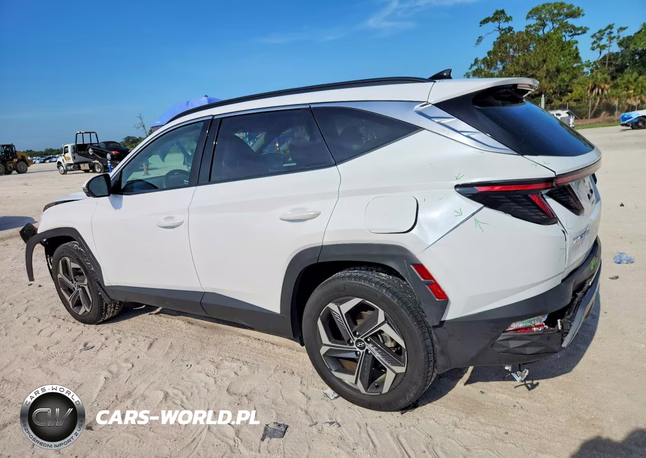 2023 Hyundai Tucson Limited VIN:KM8JECA18PU102756 - 2