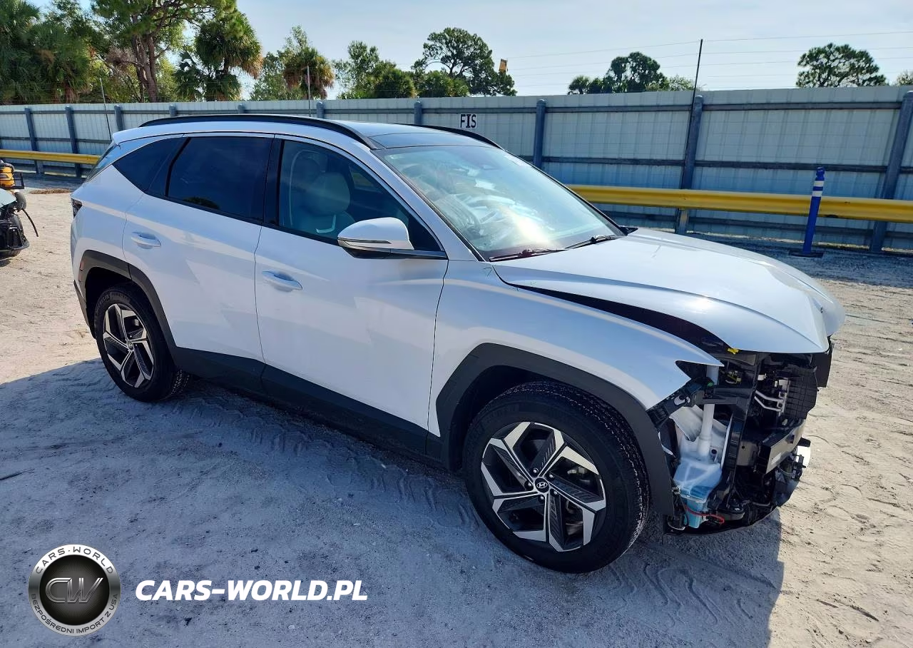 2023 Hyundai Tucson Limited VIN:KM8JECA18PU102756 - 4