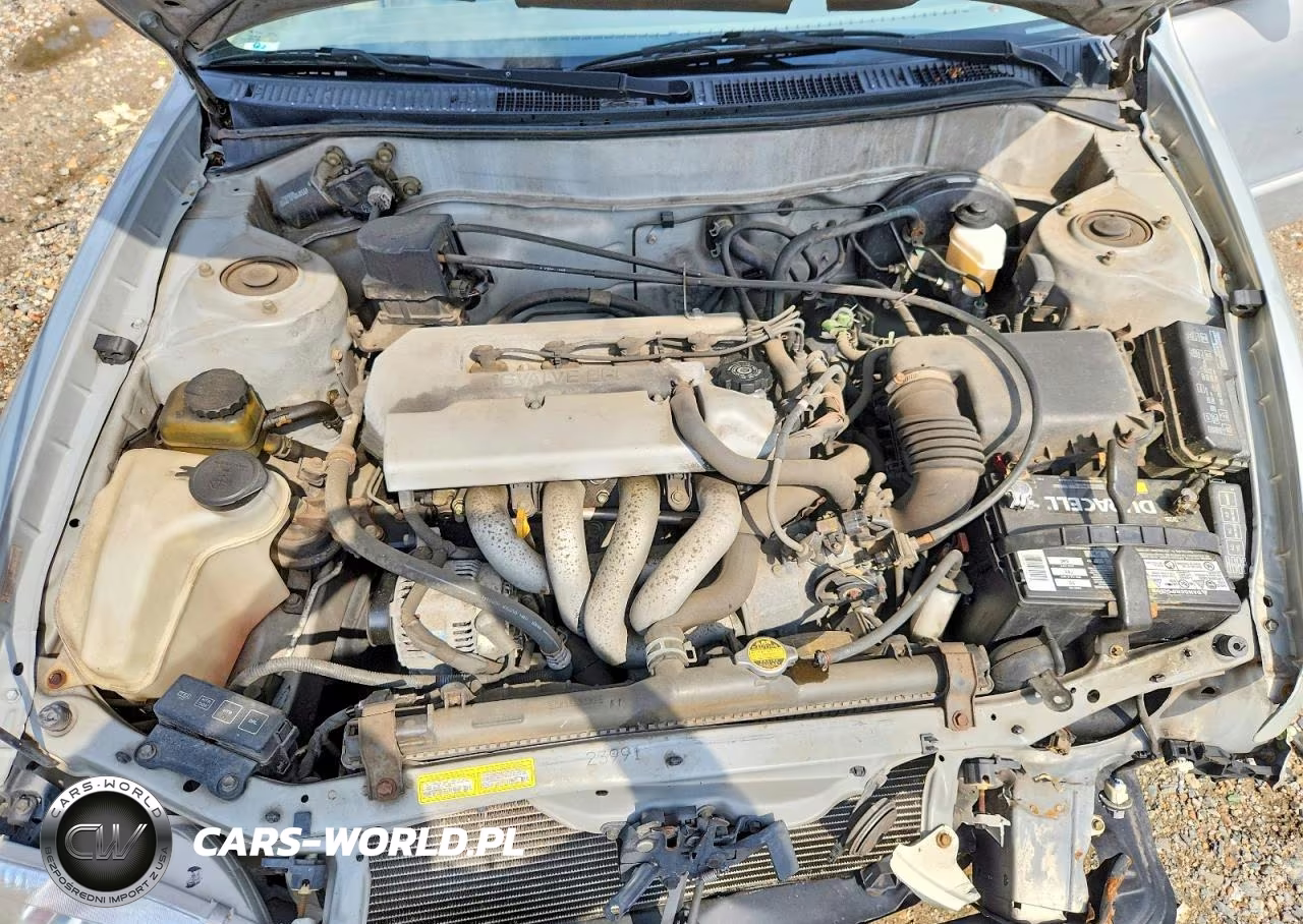 1999 Toyota Corolla Ve VIN:2T1BR18E7XC207196 - 11
