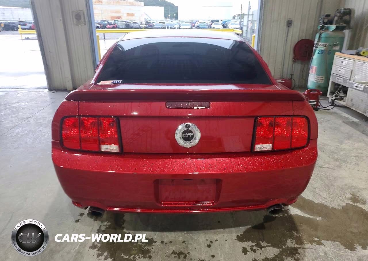 2007 Ford Mustang Gt VIN:1ZVFT82H975290610 - 6