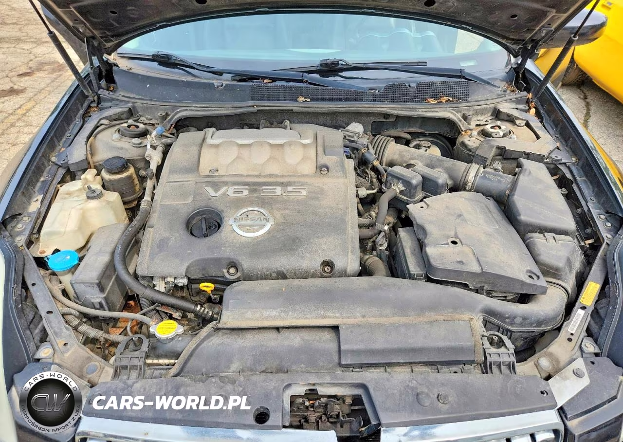 2004 Nissan Maxima 3.5 Se VIN:1N4BA41E24C890454 - 11