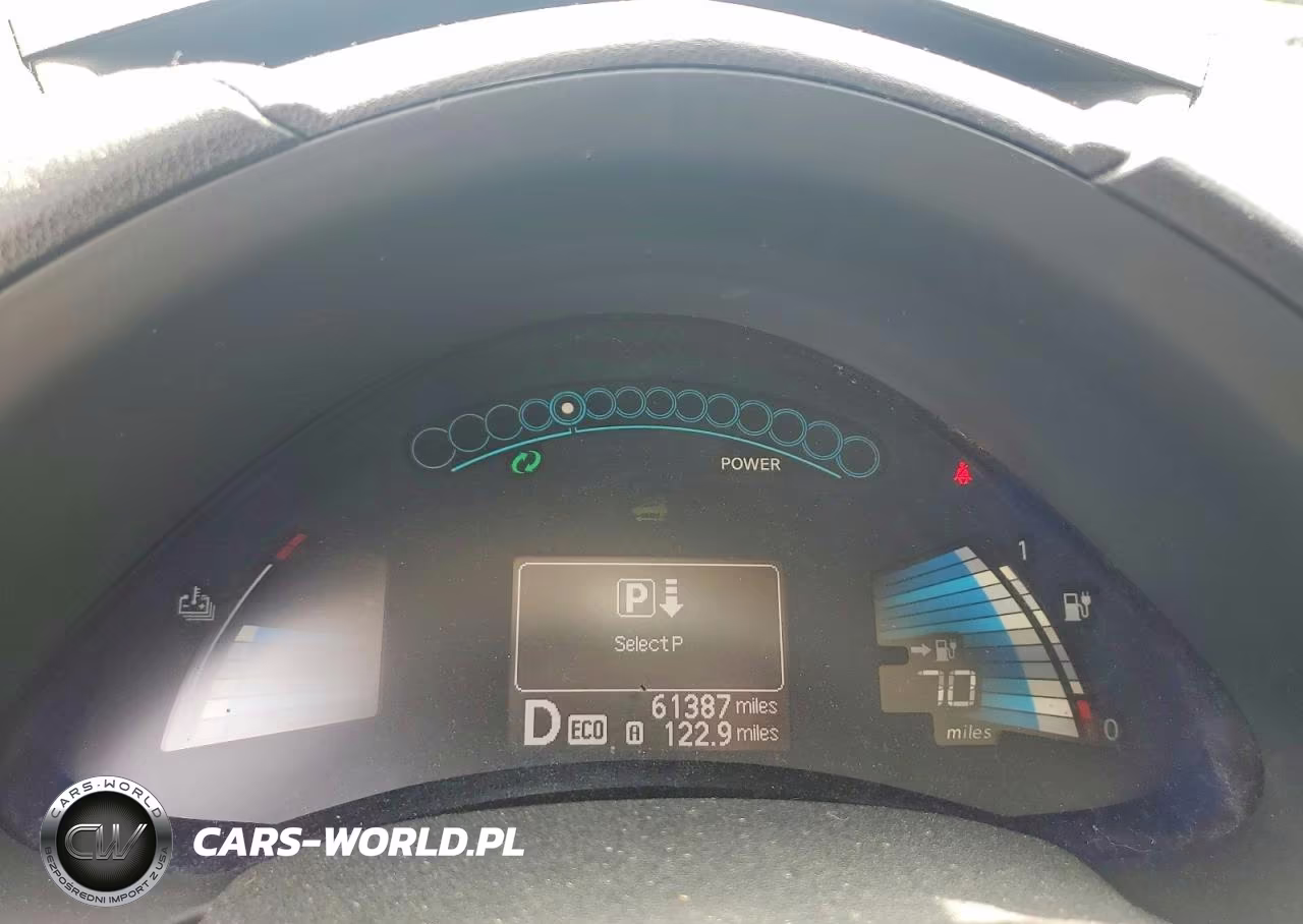 2015 Nissan Leaf S VIN:1N4AZ0CP0FC325179 - 9