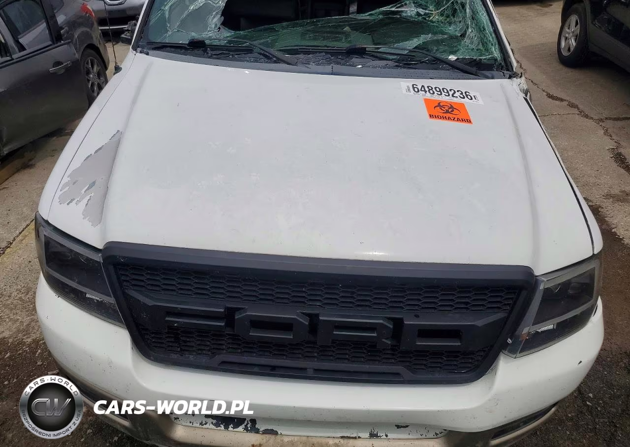 2004 Ford F150 Supercrew VIN:1FTPW14504KC66525 - 11
