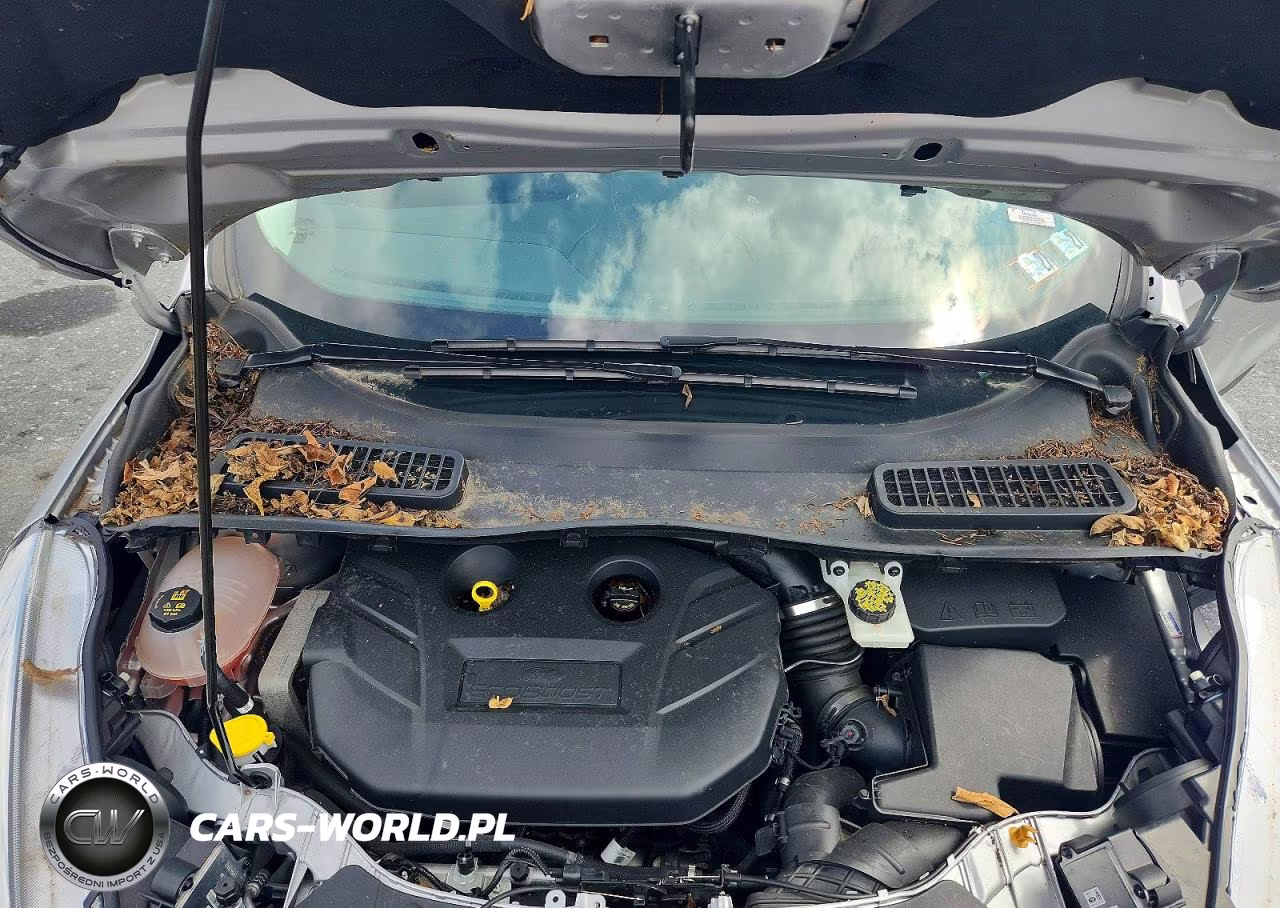 2019 Ford Escape Titanium VIN:1FMCU9J96KUB44193 - 12