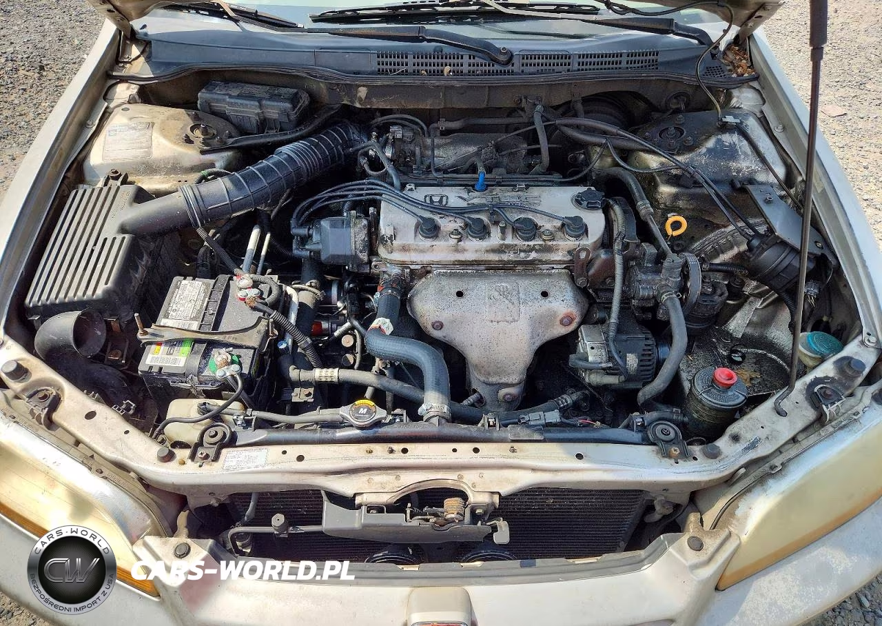 1998 Honda Accord Lx VIN:1HGCG5642WA197273 - 11