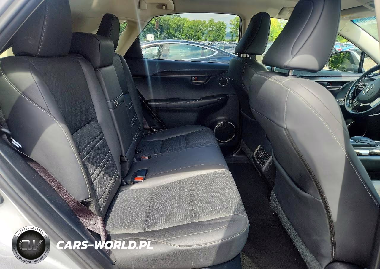 2016 Lexus Nx 200T Base VIN:JTJBARBZ8G2062456 - 10