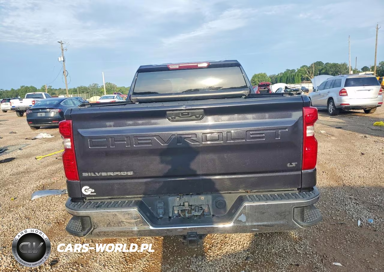 2023 Chevrolet Silverado K1500 Lt VIN:1GCUDDED5PZ179067 - 6