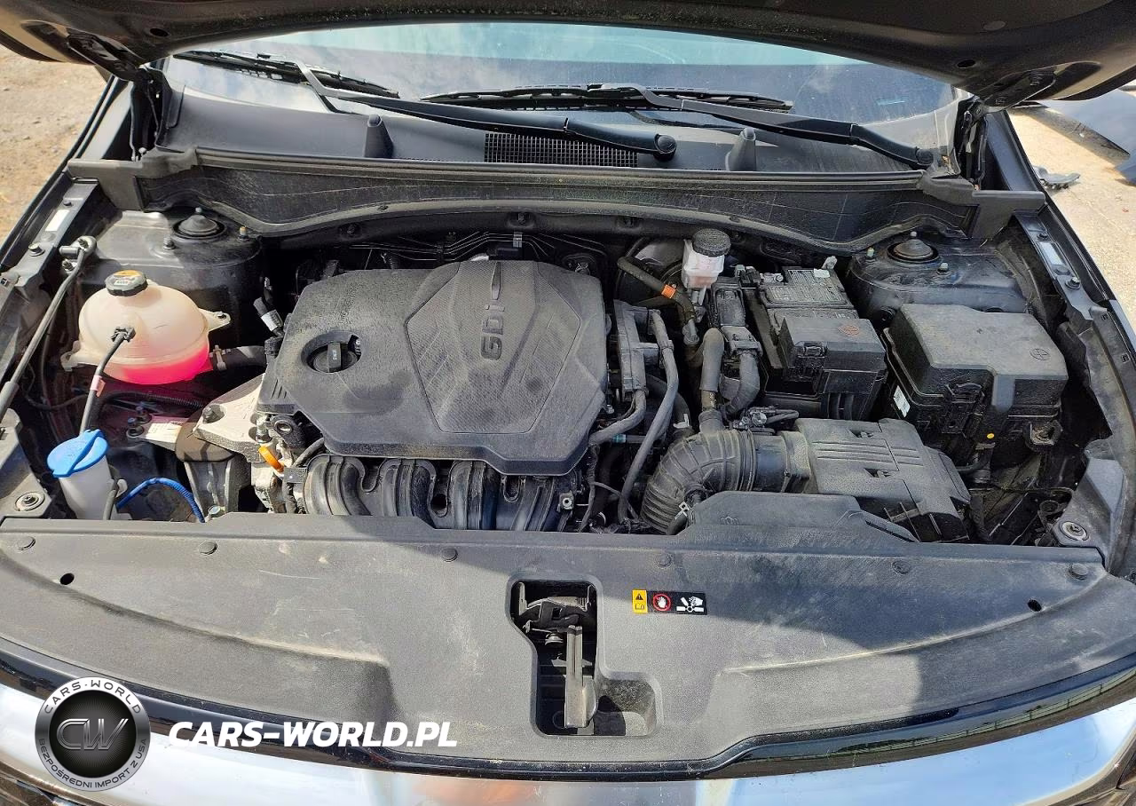 2023 Kia Sportage Sx VIN:5XYK4CAF1PG019761 - 12