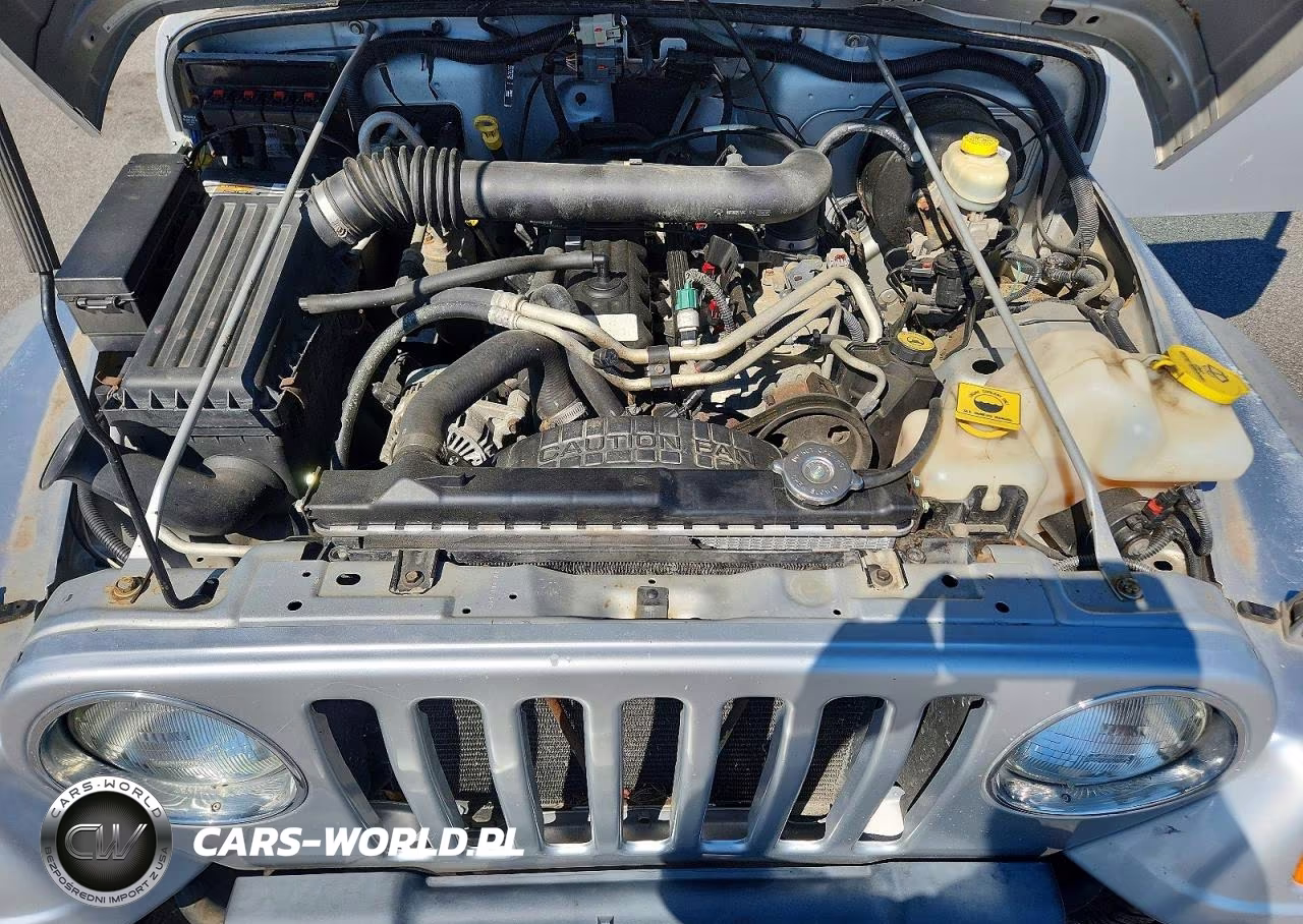 2006 Jeep Wrangler X VIN:1J4FA39S66P743138 - 11