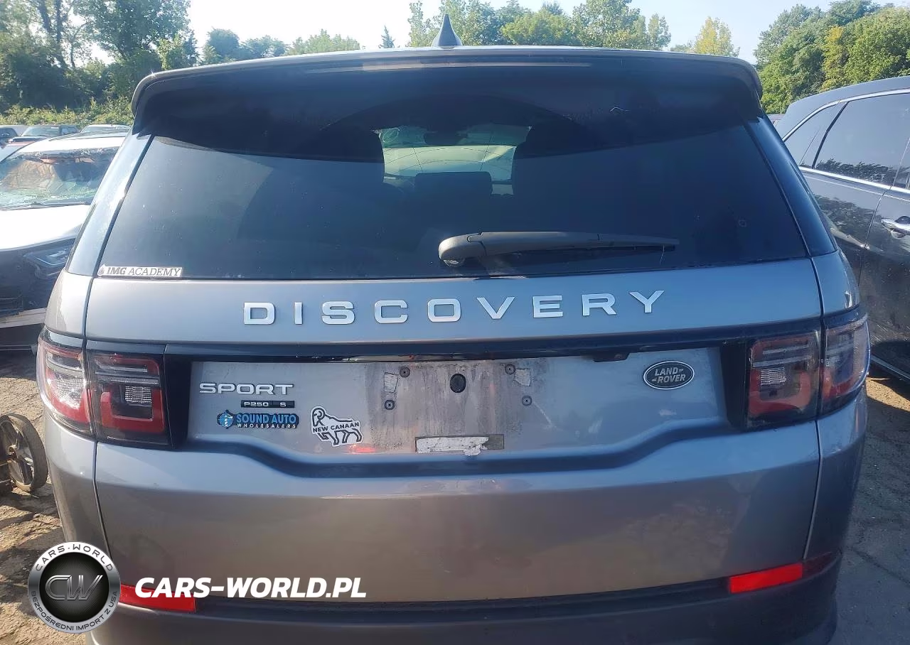 2020 Land Rover Discovery Sport S VIN:SALCJ2FX3LH848995 - 6