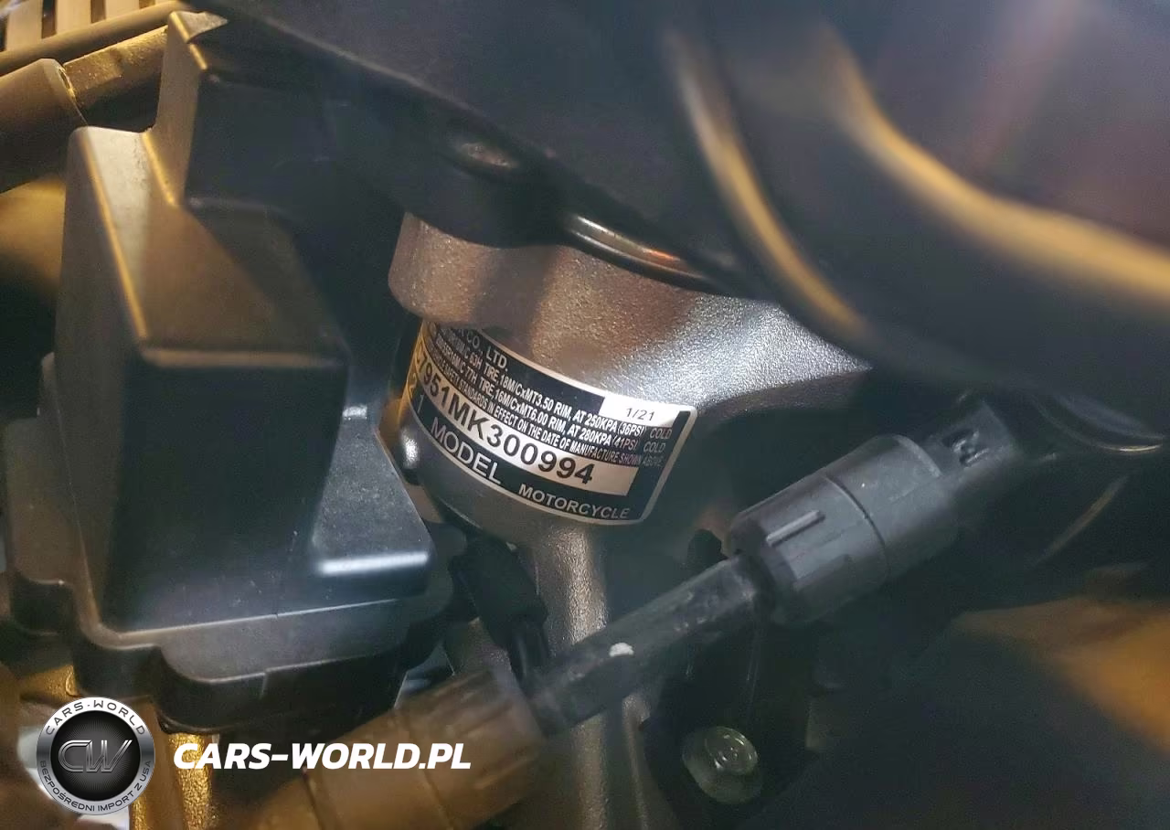 2021 Honda Gl1800 D VIN:JH2SC7951MK300994 - 9