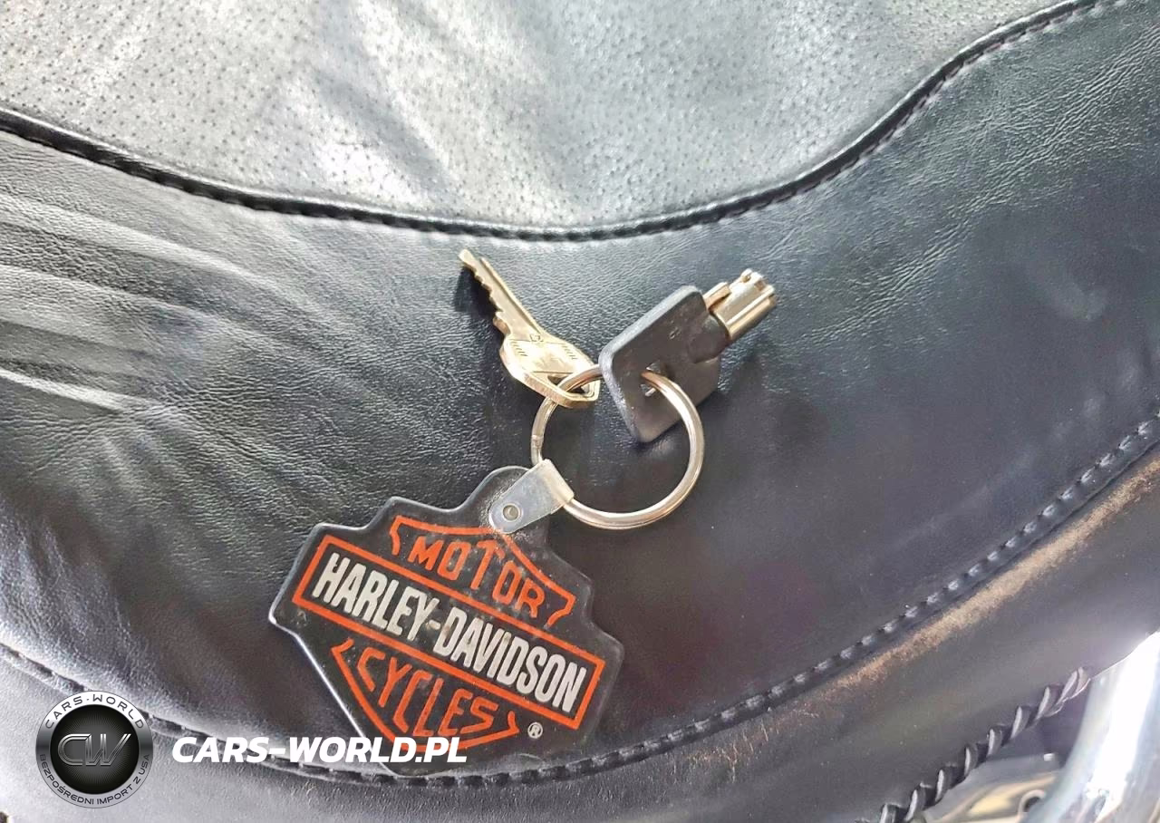 1998 Harley-Davidson Flstf VIN:1HD1BML15WY018836 - 8